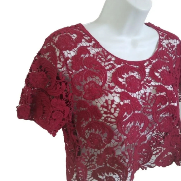 Sexy What? Cropped Crocheted  Burgundy Top, M - Picture 4 of 8
